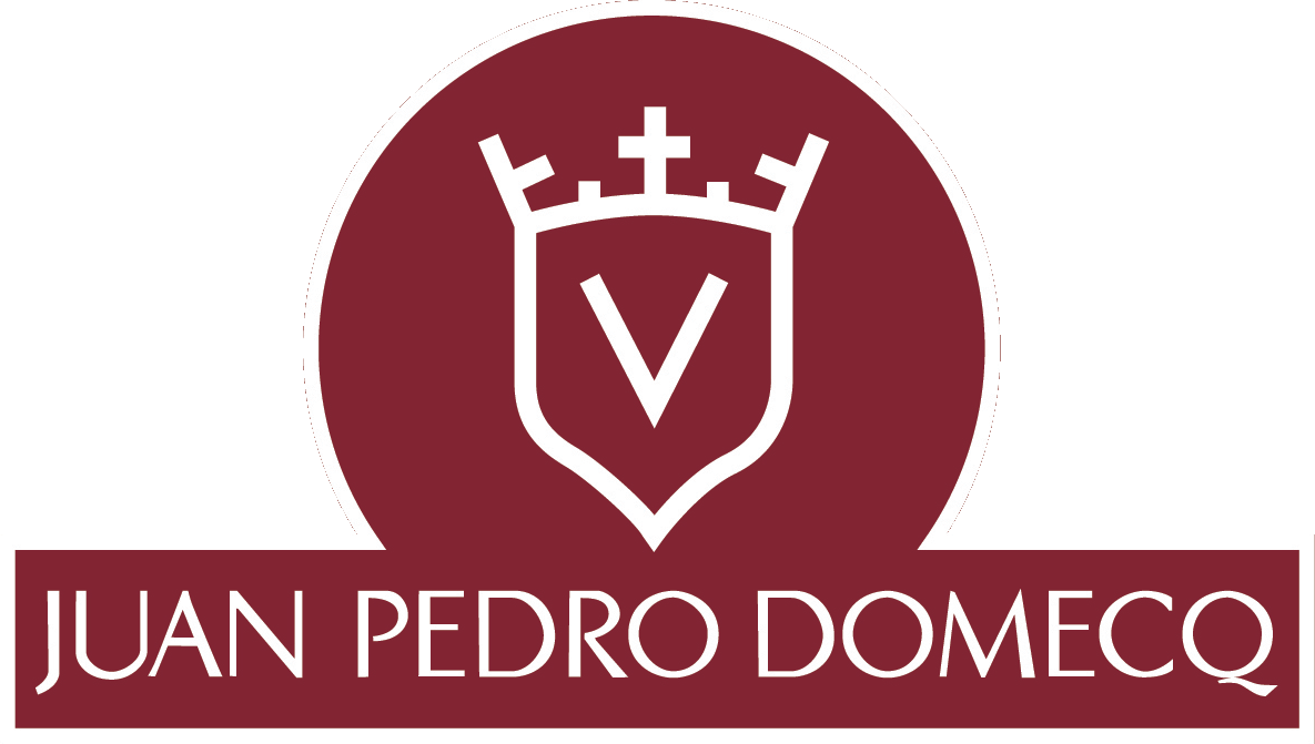 logotype domecq